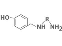 Mannich Curing Agents
